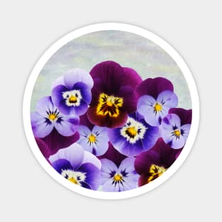 Purple Violet Flowers Magnet